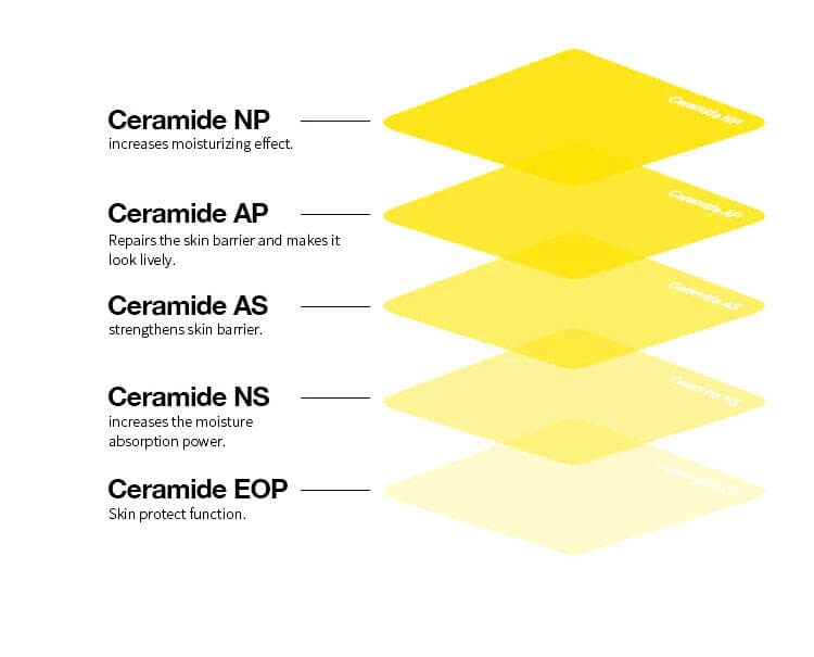 Ceramidin Body Lotion contains 5 types of Ceramidin.