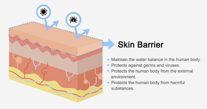 skin barrier measurement